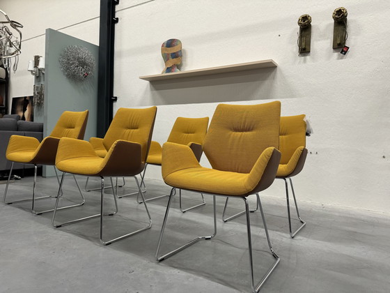 Image 1 of 6 Leolux Mime Dining Chairs Yellow Fabric Brown Leather