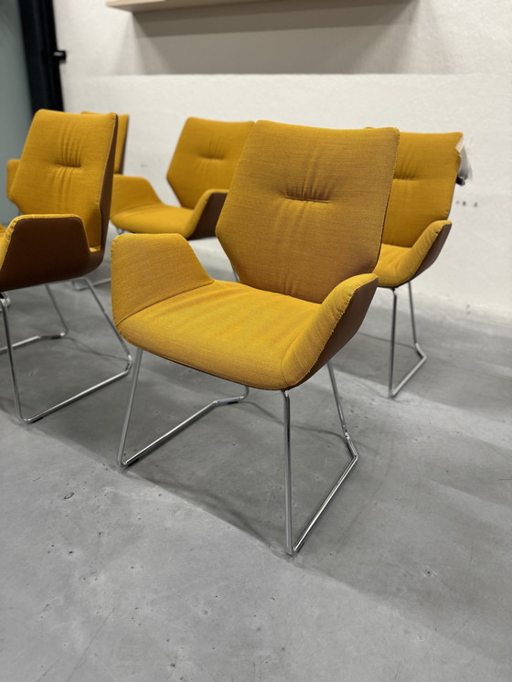 Image 1 of 6 Leolux Mime Dining Chairs Yellow Fabric Brown Leather