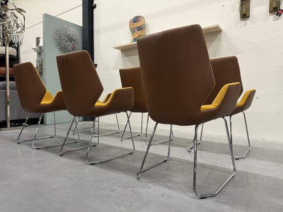 Image 1 of 6 Leolux Mime Dining Chairs Yellow Fabric Brown Leather