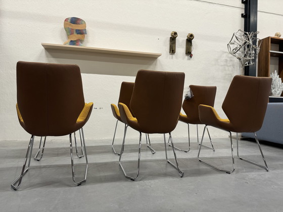 Image 1 of 6 Leolux Mime Dining Chairs Yellow Fabric Brown Leather