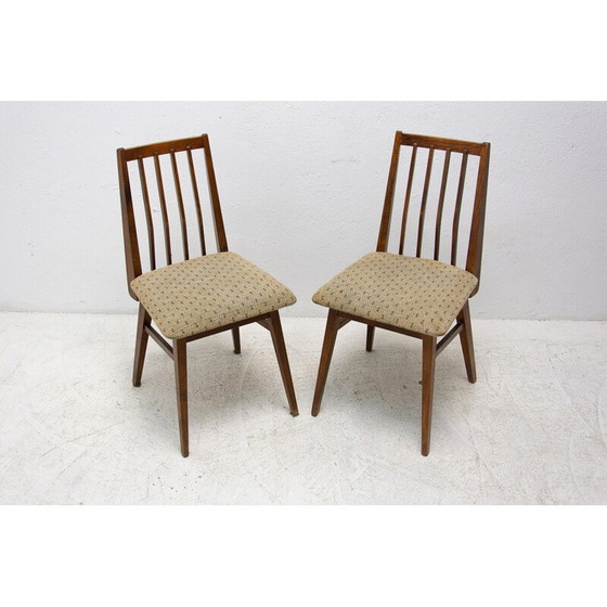 Image 1 of Coppia di sedie da pranzo in legno di faggio con imbottitura della metà del secolo scorso, Cecoslovacchia, anni '60