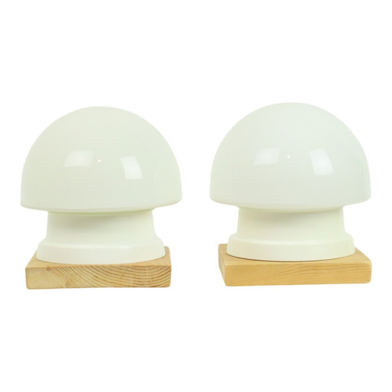 Image 1 of Couple Mushroom Lights