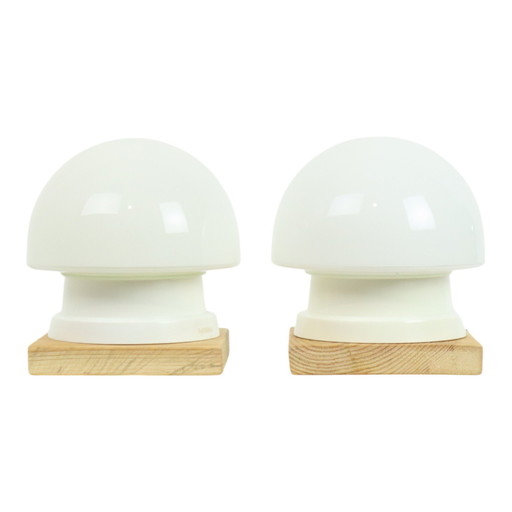 Couple Mushroom Lights