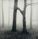 Ralph Janowski - Photo print