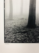 Ralph Janowski - Photo print