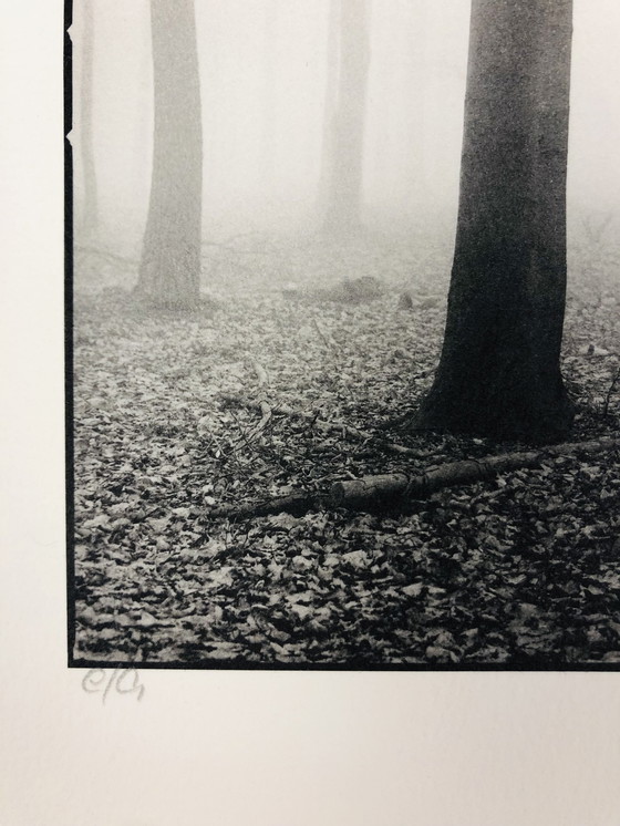 Image 1 of Ralph Janowski - Photo print