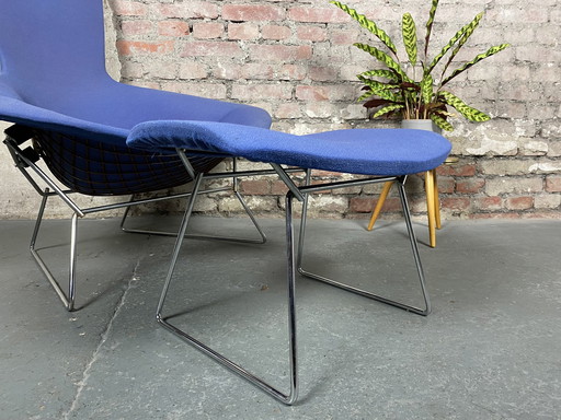 Knoll International Bird Chair with footstool by Harry Bertoia