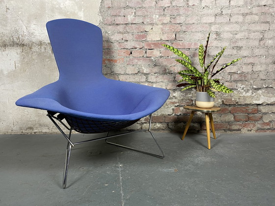 Image 1 of Knoll International Bird Chair avec tabouret de pied de Harry Bertoia