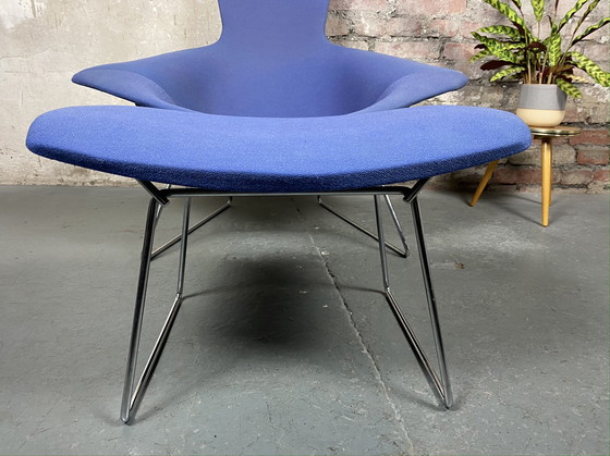 Image 1 of Knoll International Bird Chair avec tabouret de pied de Harry Bertoia