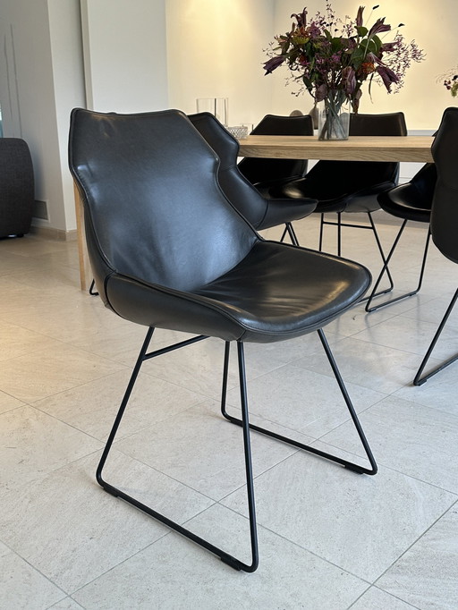 Leather Dining Chairs Callisto