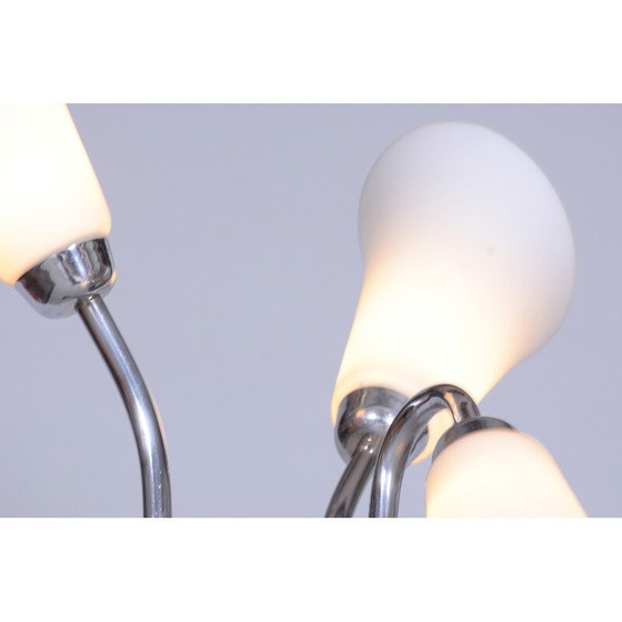 Image 1 of Vintage floor lamp in chromed steel and lacquered wood, Czechoslovakia 1930