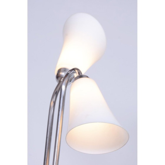 Image 1 of Vintage floor lamp in chromed steel and lacquered wood, Czechoslovakia 1930