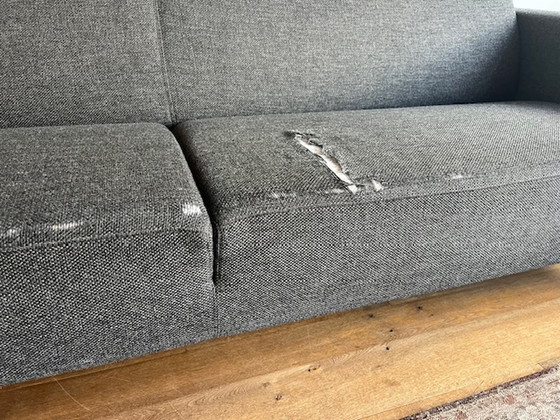 Image 1 of Refurbishment: Artifort Mare 3-seater sofa by René Holten