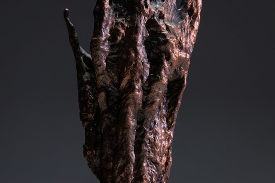 Image 1 of Scuplture Bronze Splash