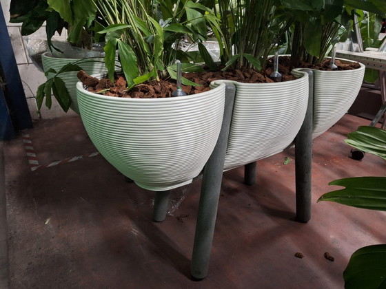 Image 1 of 1X Planter Dirk Van Der Kooi