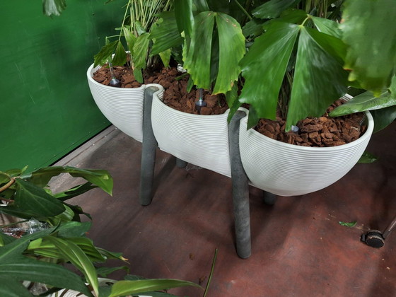 Image 1 of 1X Planter Dirk Van Der Kooi