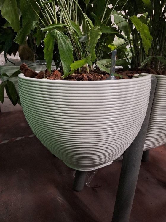 Image 1 of 1X Planter Dirk Van Der Kooi