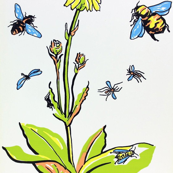 Image 1 of Vintage school wall art poster from the communist era, Czechoslovakia 1960