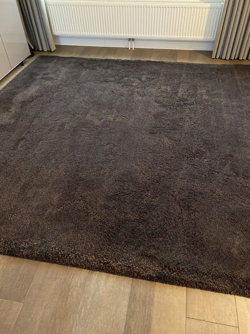 Design rug