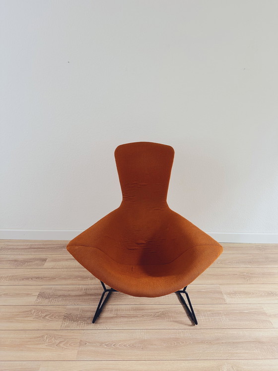 Image 1 of Chaise Knoll Bird par Harry Bertoia