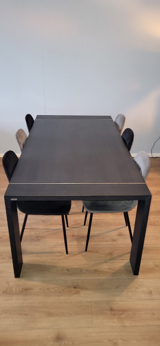 Bert Plantagie dining room set + coffee table
