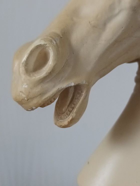 Image 1 of Busto di cavallo in gesso del XX secolo 