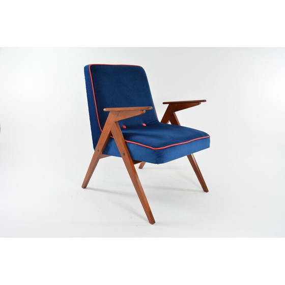 Image 1 of Poltrona Bunny vintage blu reale anni '60