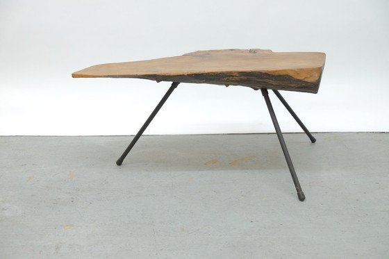 Image 1 of Mid-Century Viennese tree trunk coffee table, 1950s