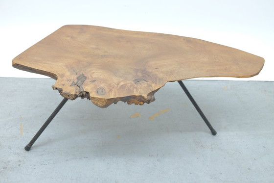 Image 1 of Mid-Century Viennese tree trunk coffee table, 1950s