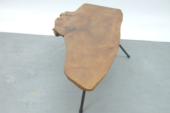 Image 1 of Mid-Century Viennese tree trunk coffee table, 1950s