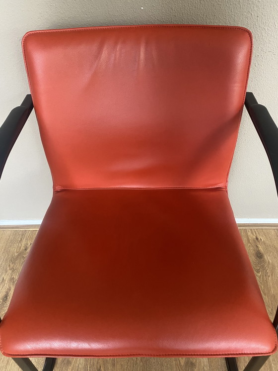 Image 1 of 6x Chaises flottantes vintage en cuir à armature tubulaire