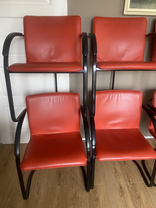 6x Vintage leather tube frame floating chairs