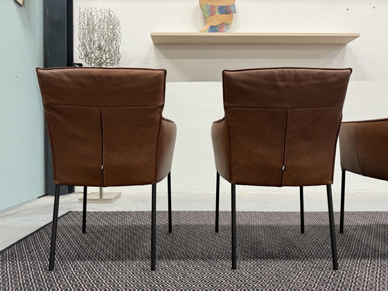 Image 1 of 4 Design on Stock Amra Dining Chairs Cera Leather