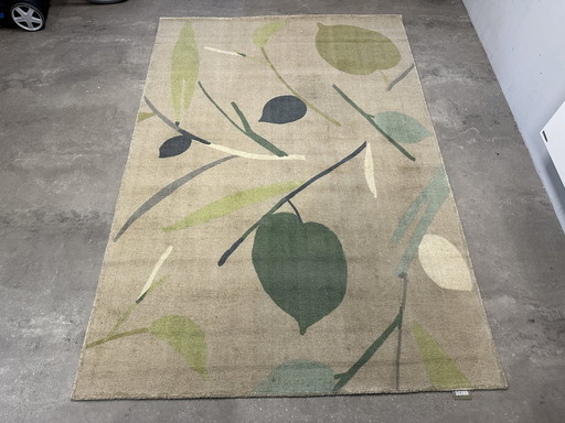 Rug Brink En Campman Scion Oxalis Juniper 25507 160X230