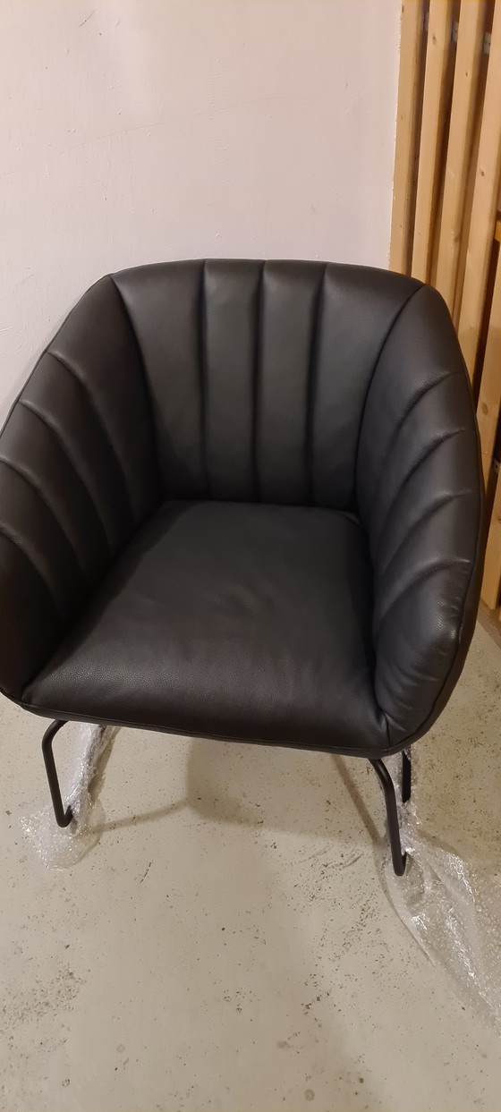 Image 1 of Signet Lenni designer/club chair leather black