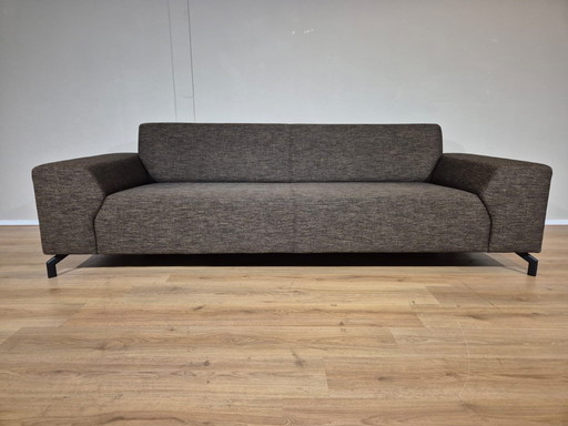 Montel Romero - 3 Seater Sofa - Brown - Fabric - Design