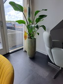 Eyye Puuro Armchair