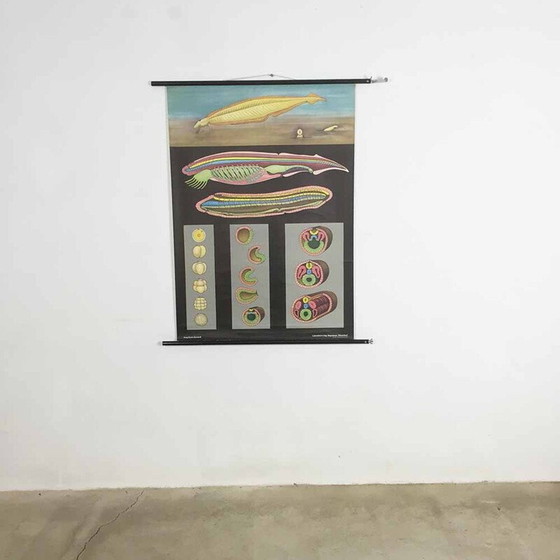 Image 1 of Vintage educational scrolling poster W. Hagemann and Jung-Koch Quentell for Düsseldorf, Germany 1969