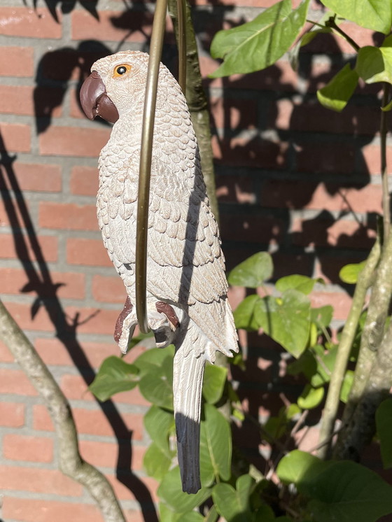 Image 1 of Parrot Window Hanger