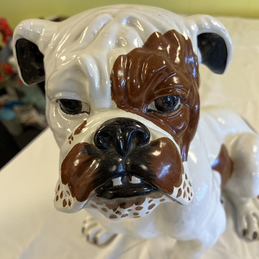 English Bulldog Of Ceramics