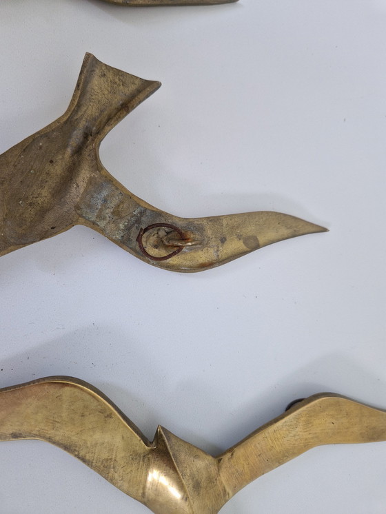 Image 1 of Mid-Century Brass Seagull Wall Decorations, 1960S, Set Of 3