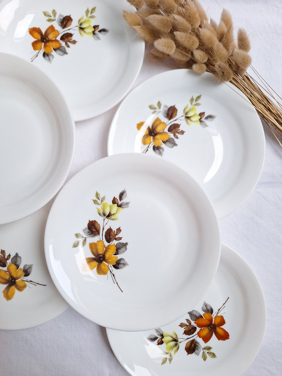 Image 1 of Arcopal Vintage soup plates