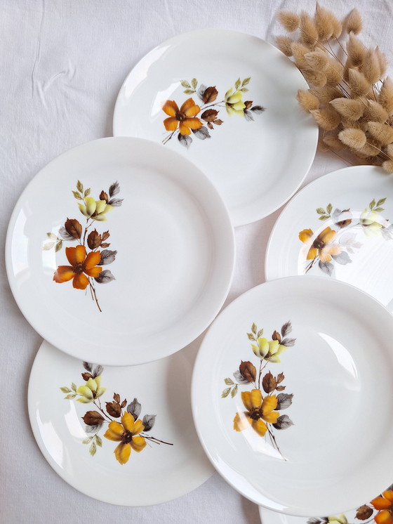 Image 1 of Arcopal Vintage soup plates