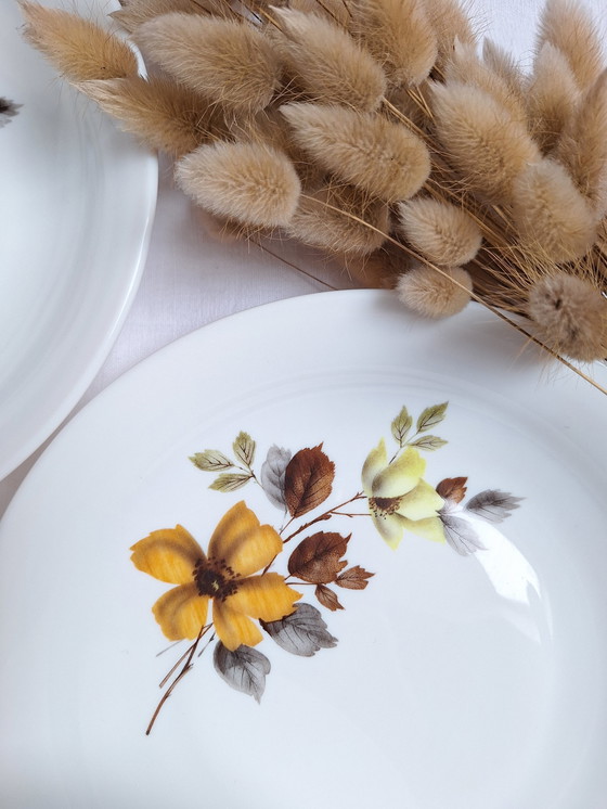 Image 1 of Arcopal Vintage soup plates