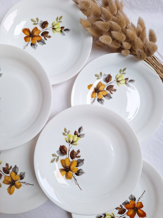 Image 1 of Arcopal Vintage soup plates