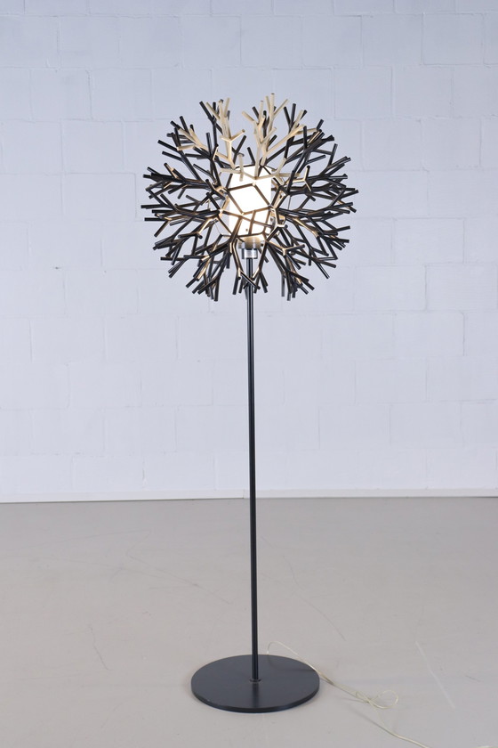 Image 1 of Lampadaire Pallucco Plantana Coral