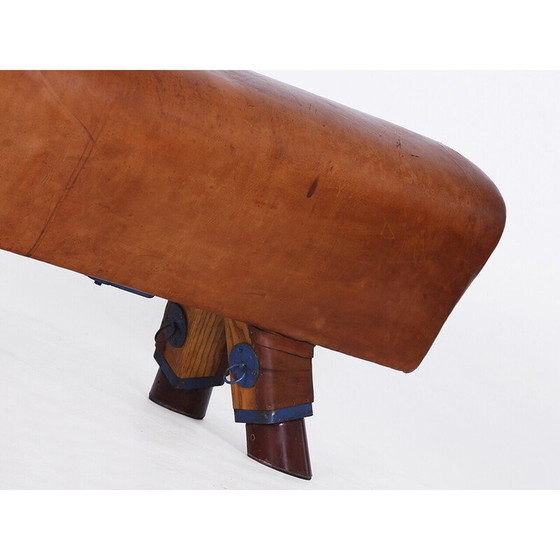 Image 1 of Panca da ginnastica vintage in pelle con maniglie per cavallo, Cecoslovacchia, anni '30