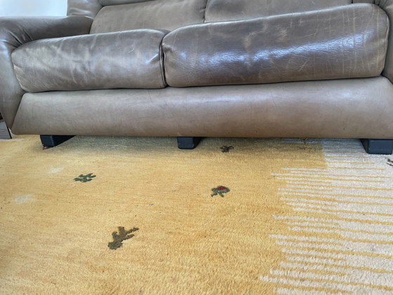 Image 1 of De Sede Green 