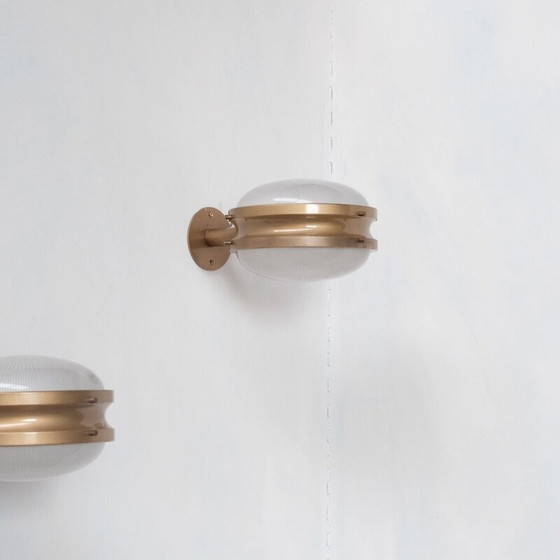 Image 1 of Pair of Gamma mid-century Italian wall lamps by Sergio Mazza for Artemide, 1960s