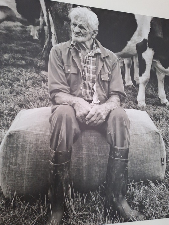 Image 1 of Lienzo enorme con imagen publicitaria de Bryck